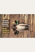 National Audubon Society Pocket Guide: North American Waterfowl (National Audubon Society Pocket Guides)