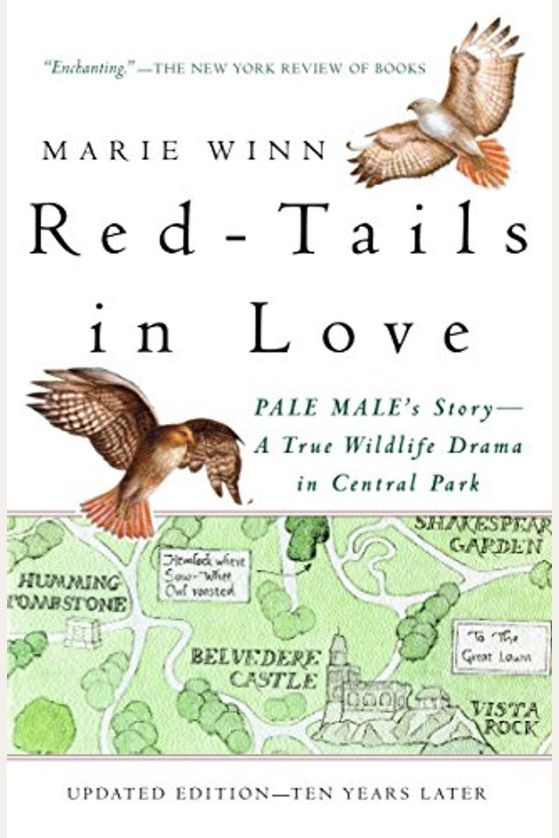 Red-Tails In Love: Pale Male's Story--A True Wildlife Drama In Central Park