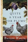 Quite A Year For Plums
