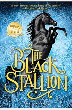 The Black Stallion The Black Stallion