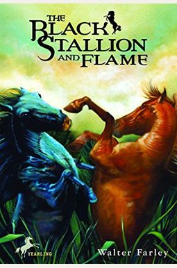 The Black Stallion And Flame The Black Stallion And Flame