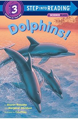 Dolphins Dolphins