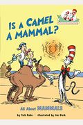 Is A Camel A Mammal?: All About Mammals