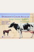 Spurgeon's Color Atlas of Large Animal Anatomy: The Essentials