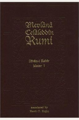Divan-i Kebir Volume 1 (Meter 1): Bahr-i Recez Divan-i Kebir Volume 1 (Meter 1): Bahr-i Recez