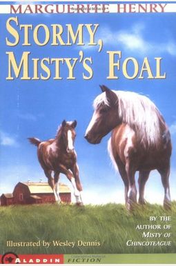 Stormy, Misty's Foal Stormy, Misty's Foal