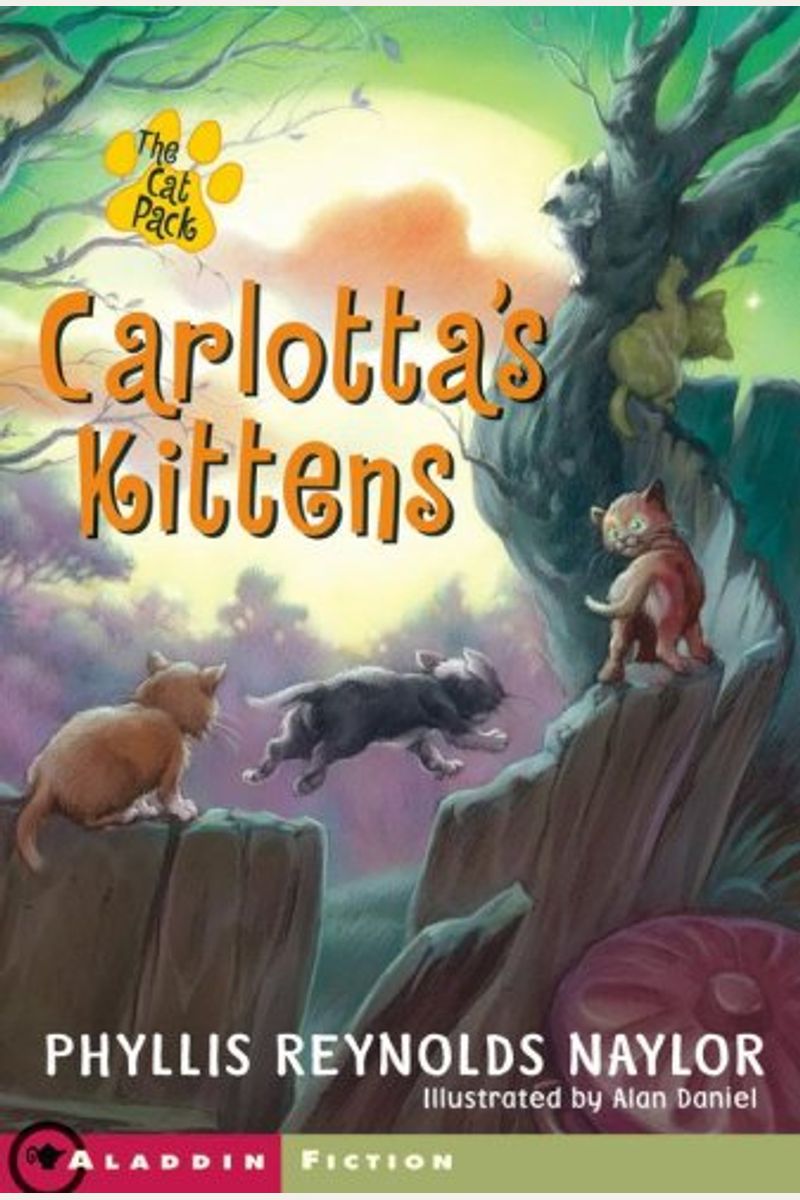 Carlotta's Kittens: And The Club Of Mysteries