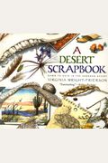 Desert Scrapbook: Desert Scrapbook