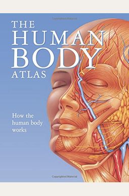 Buy The Human Body Atlas How The Human Body Works Book