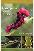 Caterpillars of Eastern North America: A Guide to Identification and Natural History