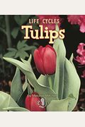 Tulips First Step Nonfiction Paperback