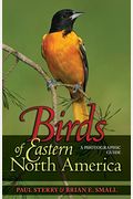 Birds Of Eastern North America: A Photographic Guide A Photographic Guide