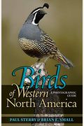Birds Of Western North America: A Photographic Guide A Photographic Guide