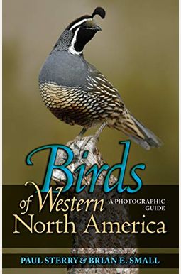 Birds Of Western North America: A Photographic Guide A Photographic Guide Birds Of Western North America: A Photographic Guide A Photographic Guide