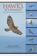 Hawks At A Distance: Identification Of Migrant Raptors