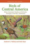 Birds Of Central America: Belize, Guatemala, Honduras, El Salvador, Nicaragua, Costa Rica, And Panama