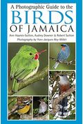 A Photographic Guide To The Birds Of Jamaica
