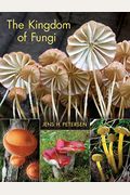 The Kingdom Of Fungi