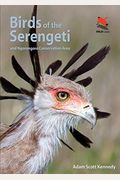 Birds Of The Serengeti: And Ngorongoro Conservation Area