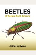 Beetles Of Western North America