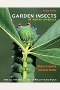 Garden Insects Of North America: The Ultimate Guide To Backyard Bugs