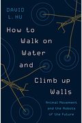 How To Walk On Water And Climb Up Walls: Animal Movement And The Robots Of The Future