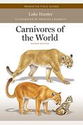 Carnivores of the World: Second Edition