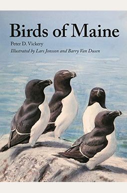 Birds Of Maine