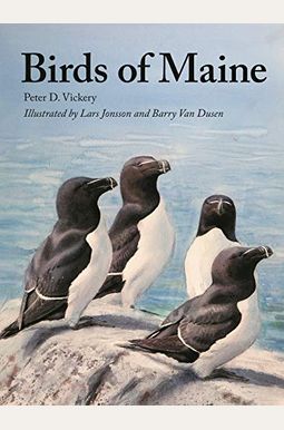 Birds Of Maine Birds Of Maine
