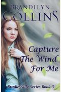 Capture The Wind For Me