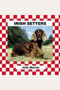 Irish Setters Checkerboard Animal Library Dogs
