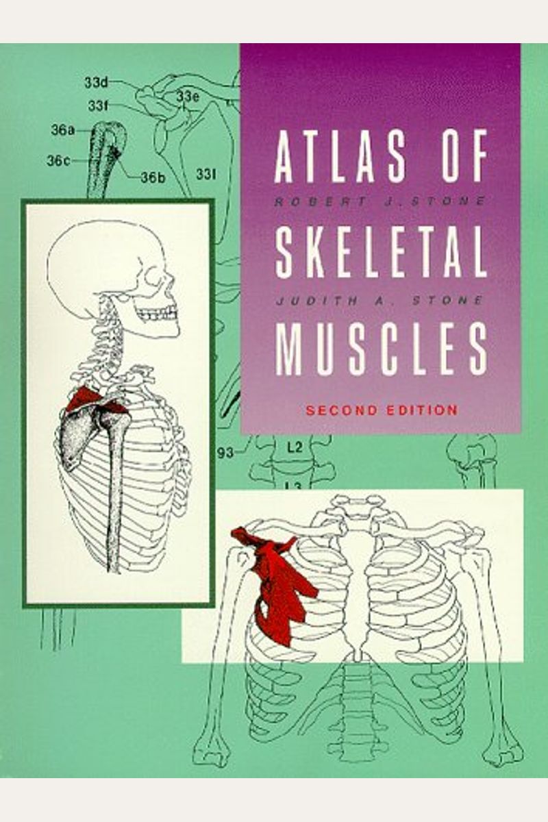 Atlas Of The Skeletal Muscles