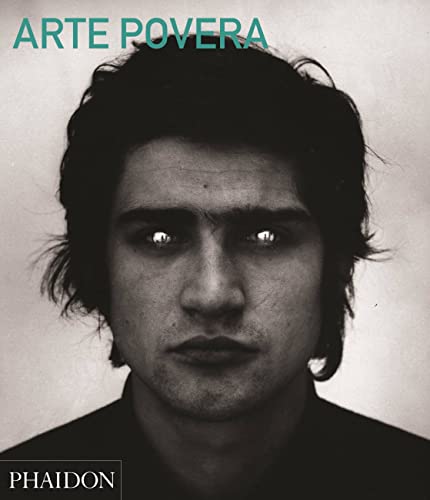 Buy Arte Povera: Abridged Edition Book By: Carolyn ChristovBakargiev