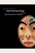 Fundamentals Of Human Neuropsychology