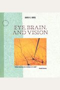 Eye, Brain, And Vision (Scientific American L