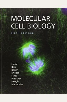 Molecular Cell Biology Molecular Cell Biology