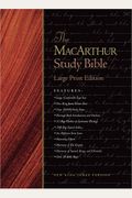 Macarthur Study Bible-Nkjv-Large Print