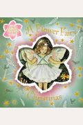 A Flower Fairy Christmas (Flower Fairies)