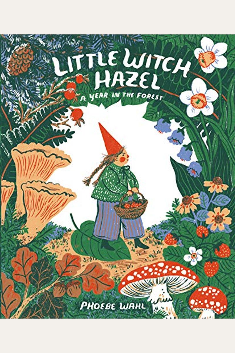 Little Witch Hazel: A Year In The Forest