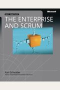 The Enterprise And Scrum (Developer Best Prac