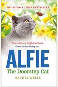 Alfie The Doorstep Cat