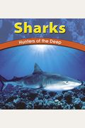 Sharks: Hunters Of The Deep