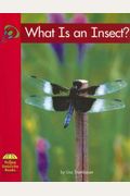 What Is An Insect?