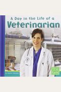 A Day In The Life Of A Veterinarian