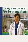 A Day In The Life Of A Veterinarian