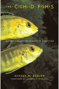The Cichlid Fishes: Nature's Grand Experiment In Evolution