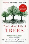 The Hidden Life Of Trees: The International Bestseller - What They Feel, How They Communicate