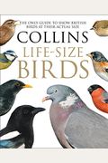 Collins Life-Size Birds: The Only Guide To Show British Birds At Their Actual Size