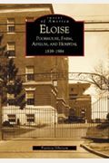 Eloise: Poorhouse, Farm, Asylum And Hospital 1839-1984