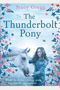 The Thunderbolt Pony